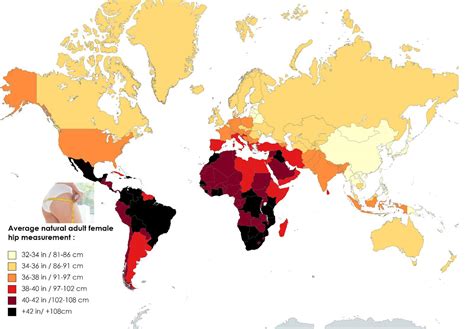 fattest asses|Womens butt sizes around the world revealed — these countries。